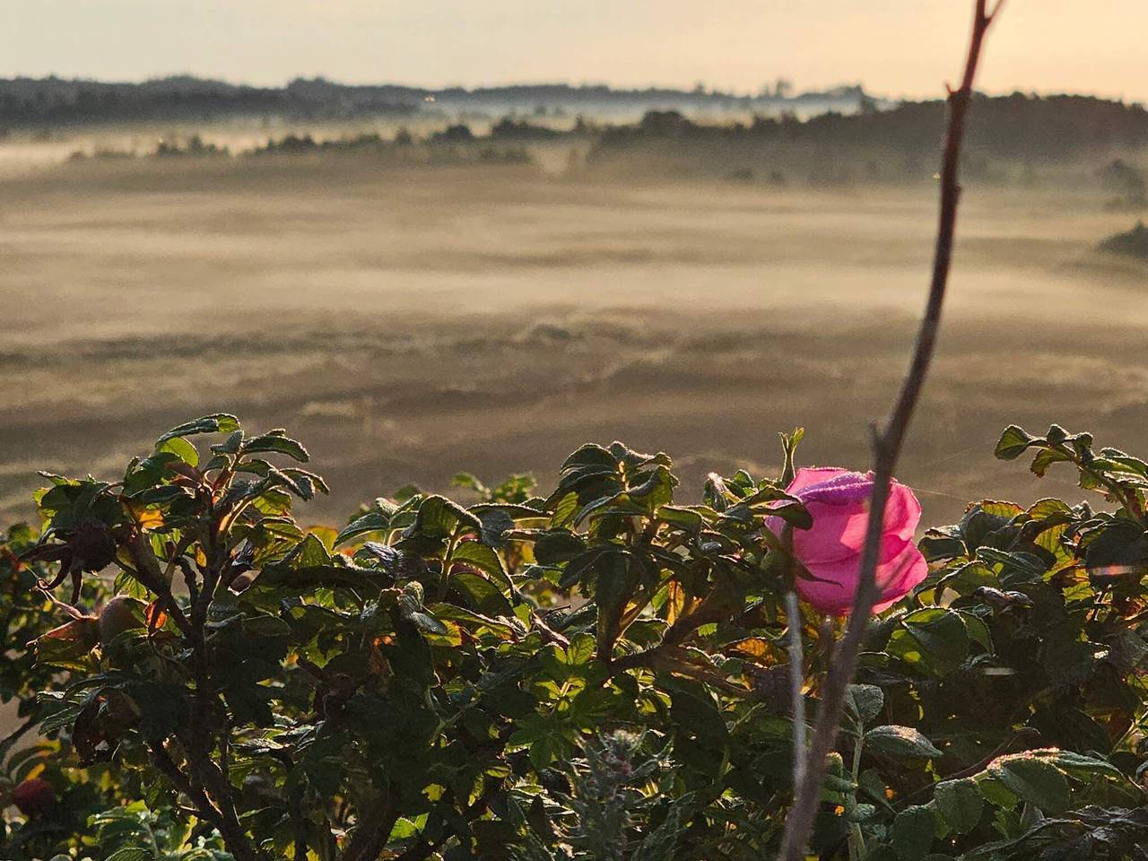 Strandbungalow Gluck -- By Traum Ferienwohnungen in Henne, Varde