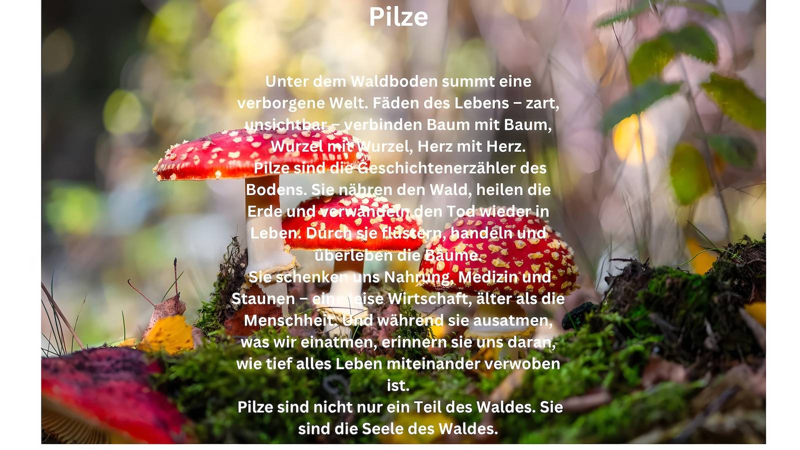 Ganze Wohnung, Apartment Nature House Mushrooms – Stille Rückzugsorte in den Bergen in Stubaier Alpen, Brenner