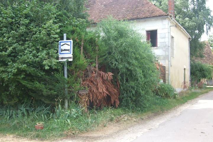Maison d’hôte pour 12 personnes, avec Jardin dans Treigny-Perreuse-Sainte-Colombe