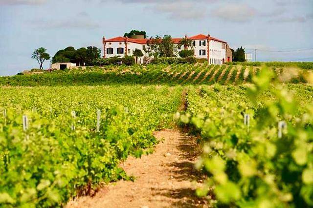 Maison de vacances pour 23 personnes, avec Jacuzzi et Terrasse ainsi que Jardin et Piscine à Cabestany