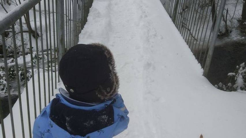 Ferienwohnung für 8 Personen, mit Garten in Fritzlar - 2