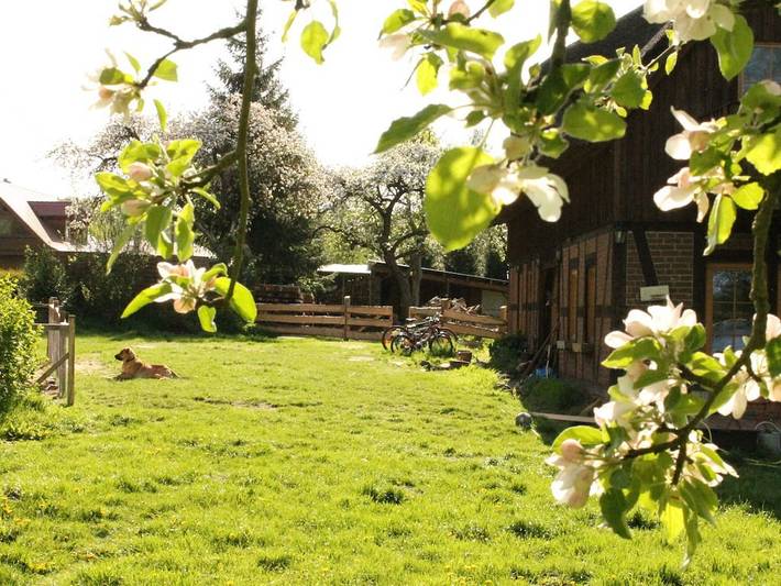 Ferienhaus für 32 Personen, mit Terrasse und Garten in Hohen Pritz - 4