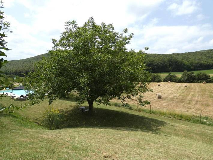Location de vacances pour 8 personnes, avec vue ainsi que jardin et piscine à Lugnano in Teverina - 4