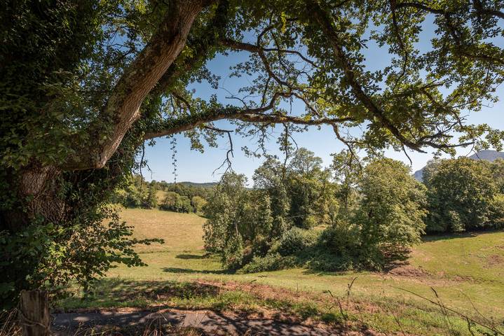 Gîte pour 3 personnes dans les Hautes-Pyrénées - 4