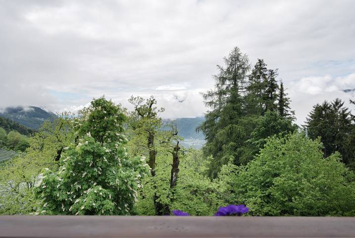 Bauernhof für 4 Personen, mit Kinderpool und Garten in den Dolomiten - 3