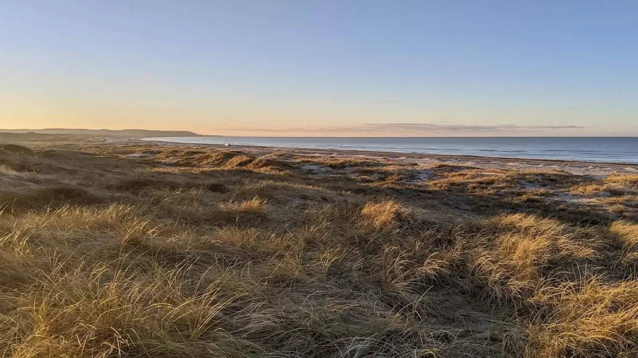 Ferienhaus für 6 Personen (109 m²) in Fjerritslev in Slettestrand, Jammerbugt