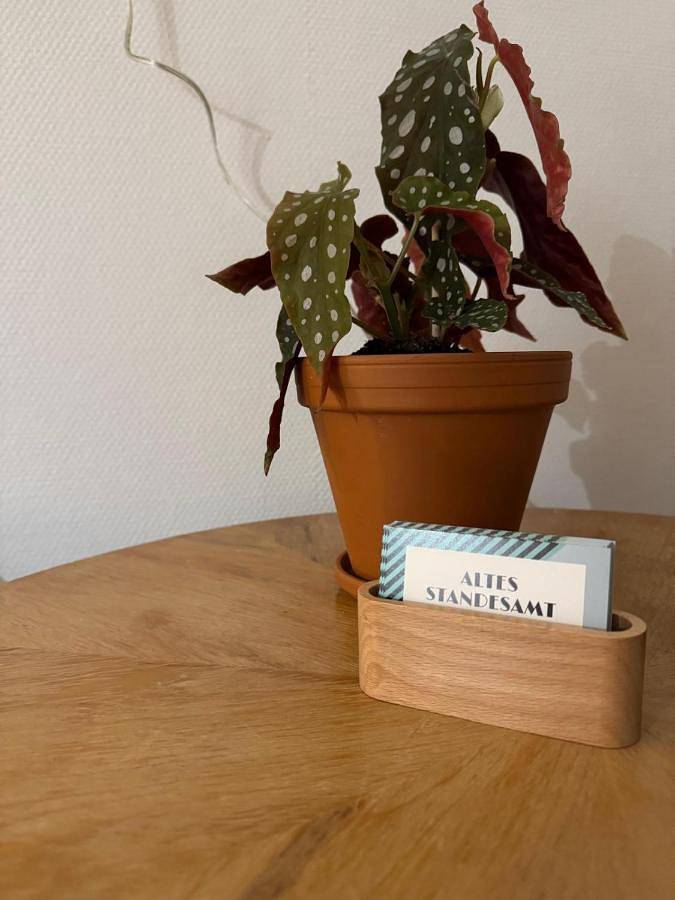 Ferienwohnung für 6 Personen, mit Terrasse und Ausblick in Pasewalk - 4