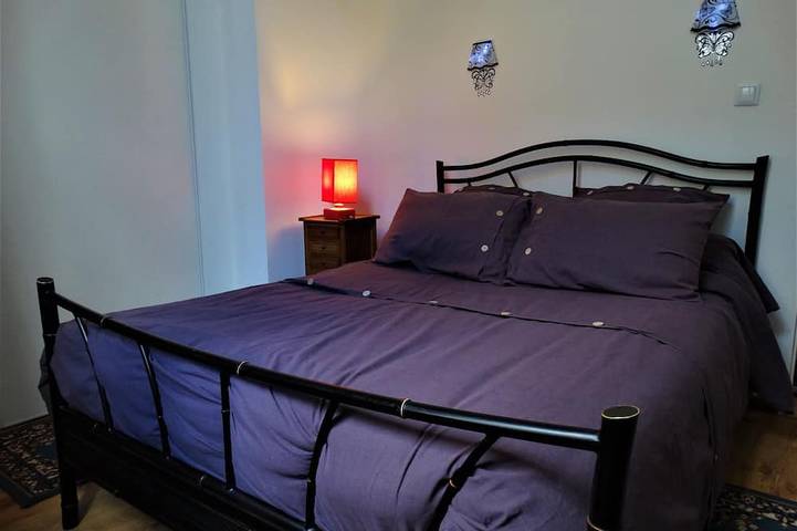 Gîte pour 8 personnes, avec terrasse ainsi que jacuzzi et jardin, animaux acceptés dans Château de Saumur - 4