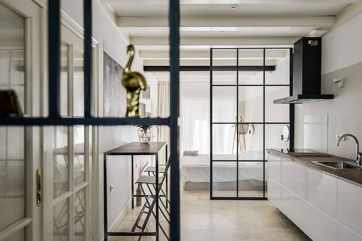 Geheel appartement, Villa Loft appartement met lichte tuinkamer in Zandvoort, Nederlandse Noordzeekust