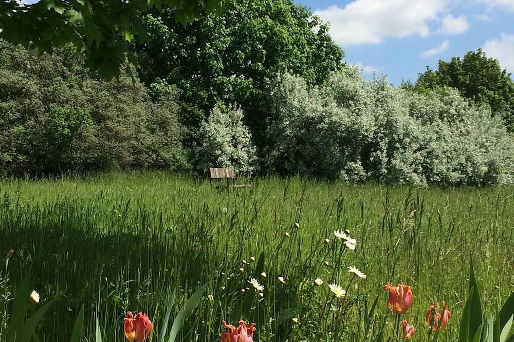 Ganze Wohnung, Refugium in der Uckermark + Idylle mit Gartensauna + stilvoll wohnen + Natur pur in Randowtal, Uckermark