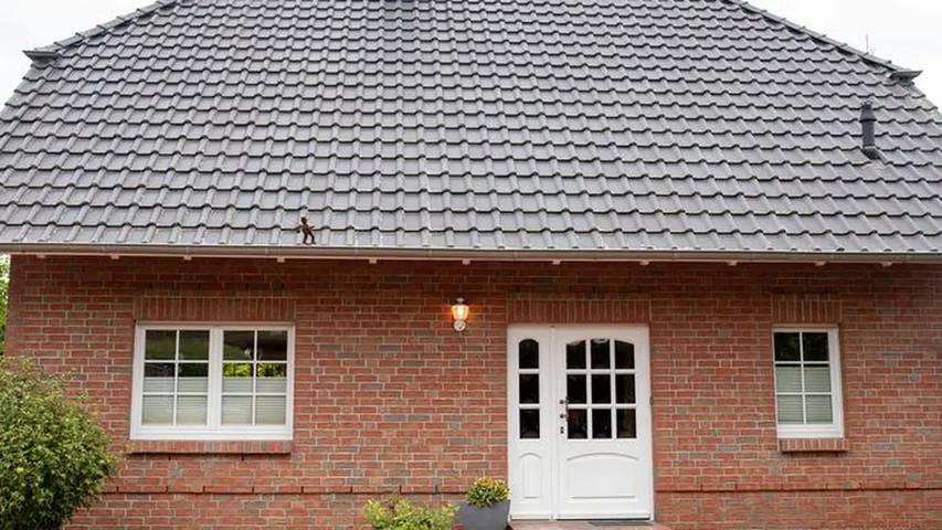 Ferienhaus für 8 Personen, mit Garten und Terrasse in Waren (Müritz) - 3