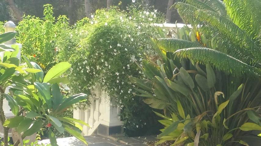 Chalet para 12 personas, con piscina además de jardín y vistas - 1