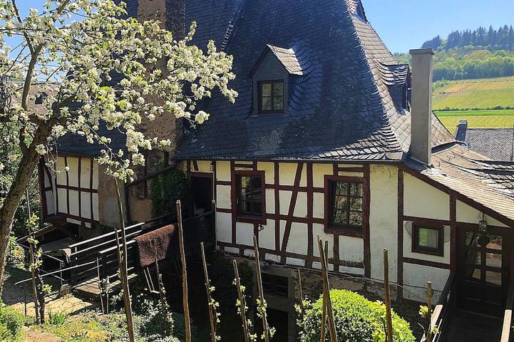 Ferienwohnung für 2 Personen, mit Garten und Sauna sowie Balkon - 1