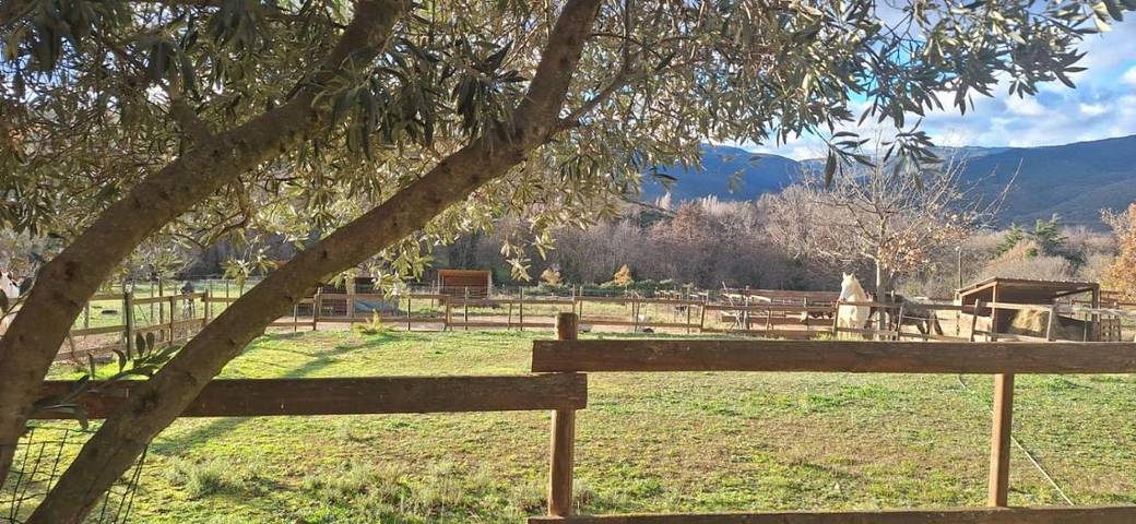 Location de vacances pour 2 personnes, avec vue et jardin à Los Masos - 2
