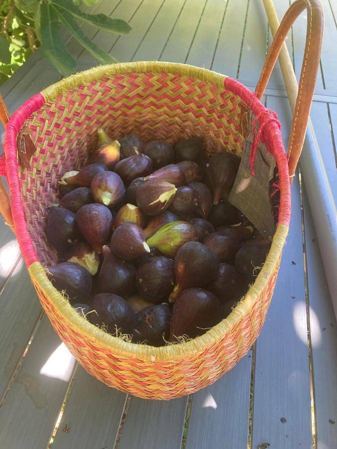 Gîte pour 3 personnes, avec jardin et vue à Les Salles-du-Gardon - 2