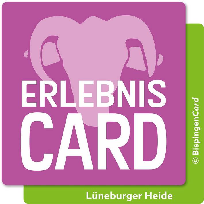 Ferienhaus Zur schönen Heidewabe I in Egestorf, Nordheide