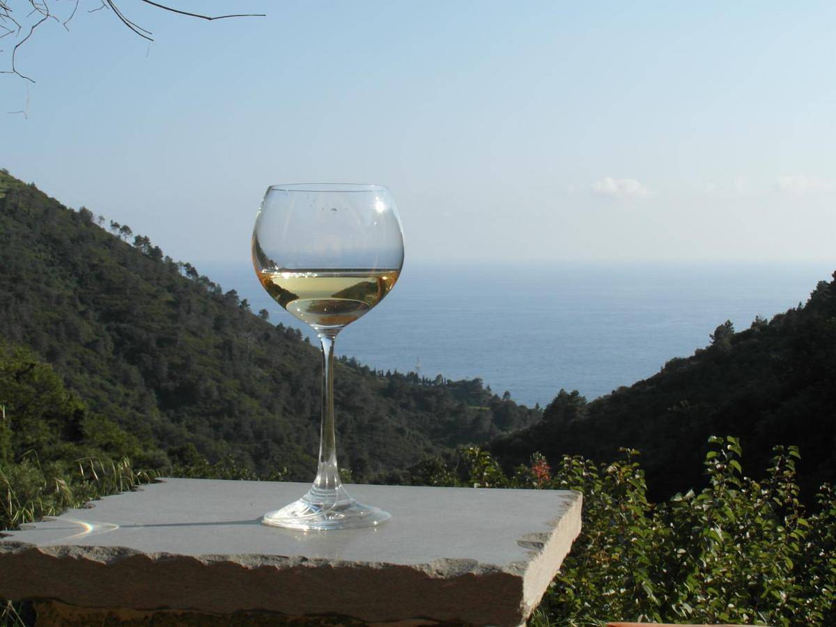 Agriturismo Costa di Campo in Vernazza, Vernazza Gemeinde