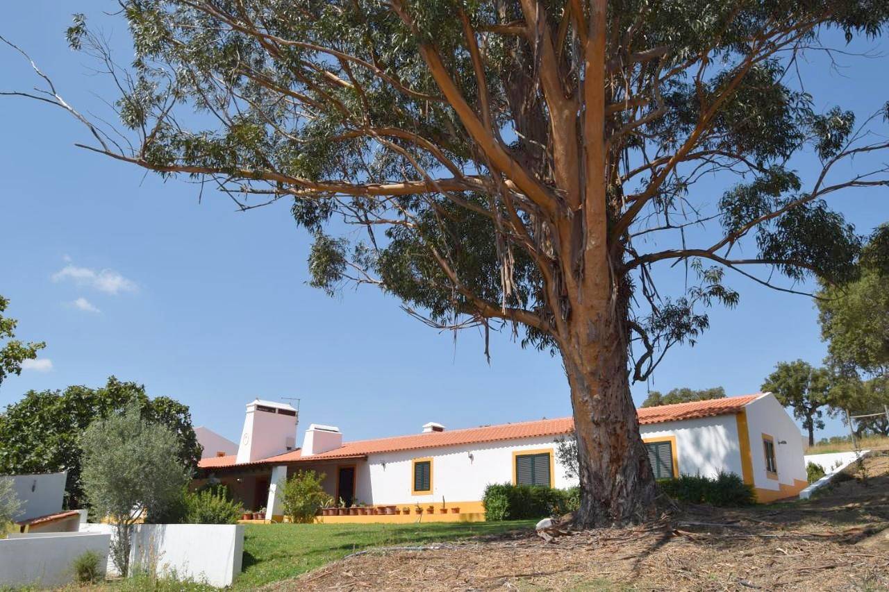 Quinta da Aurora in Évora, Distrito de Évora