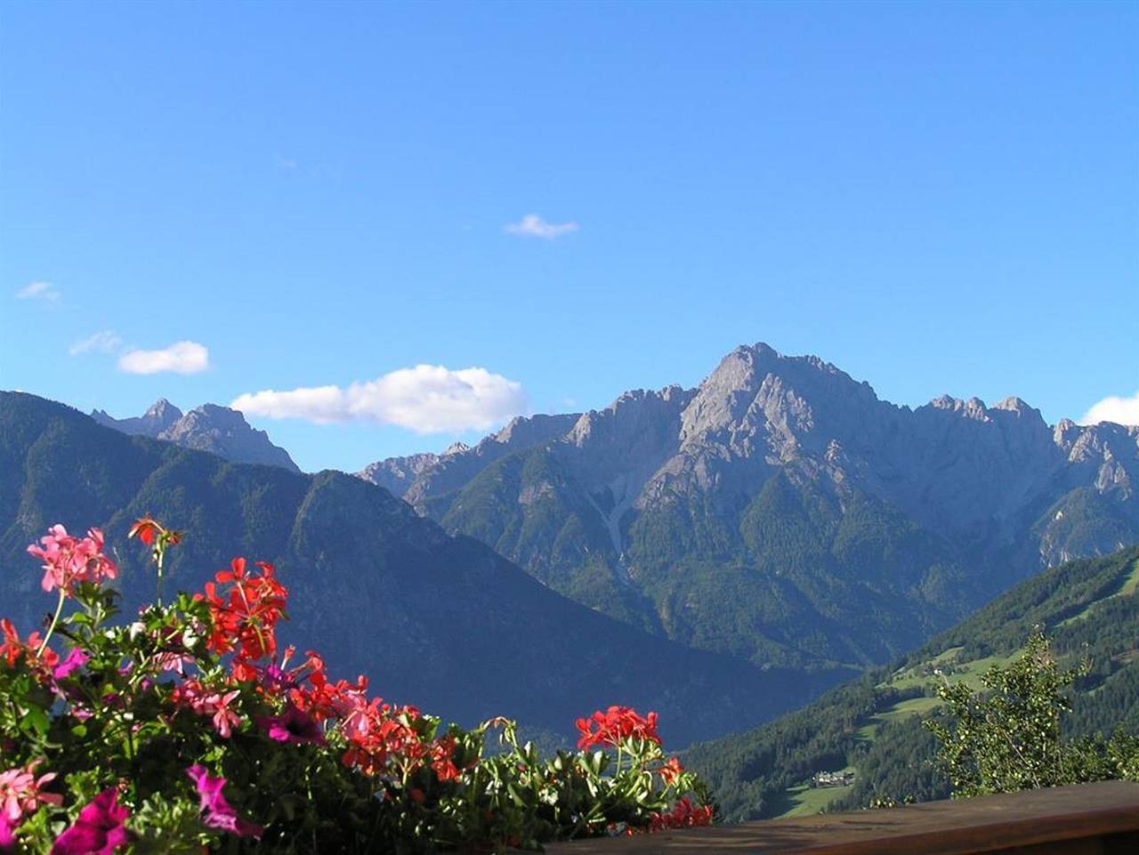 Ganze Ferienwohnung, Moarhof - Familie Zeiner - Apartment/Fewo Tirol in Thurn, Osttirol