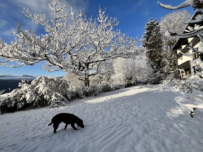 Ferienwohnung für 5 Personen, mit Terrasse und Seeblick sowie Garten, mit Haustier am Millstätter See - 3