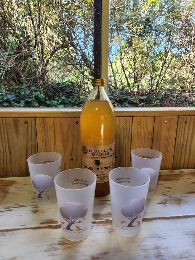 Gîte pour 5 personnes, avec vue et terrasse à Saint-Andiol - 4