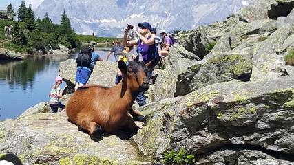 Appartement voor 5 Personen in Schladming, Schladming en omgeving, Afbeelding 2