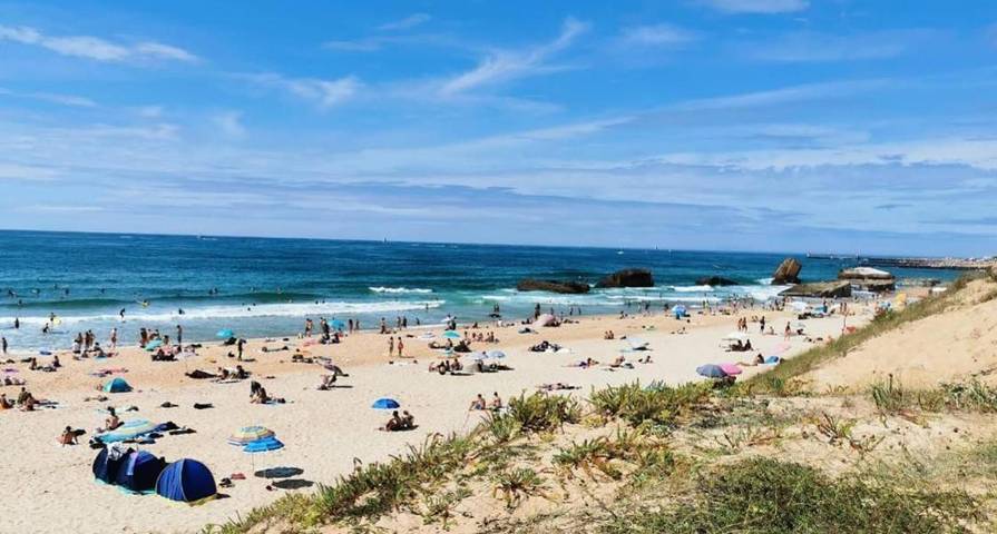 Location de vacances pour 4 personnes, avec terrasse dans Plage De La Piste Capbreton - 2