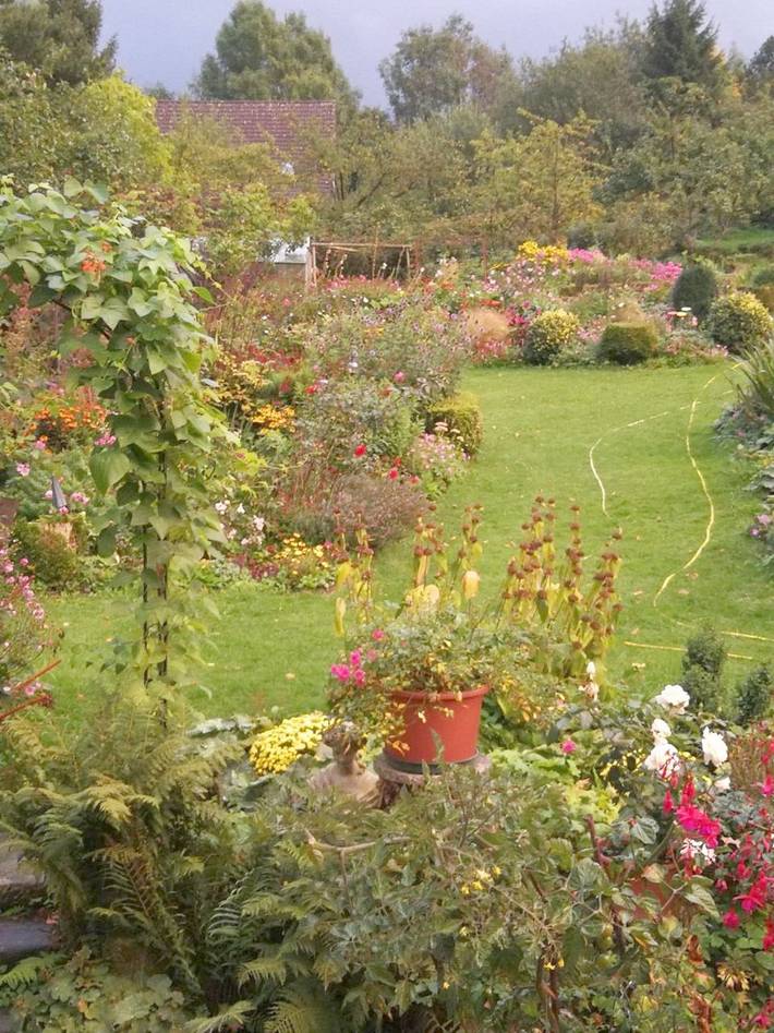 Ferienwohnung für 2 Personen, mit Garten und Ausblick in Horn-Bad Meinberg - 3