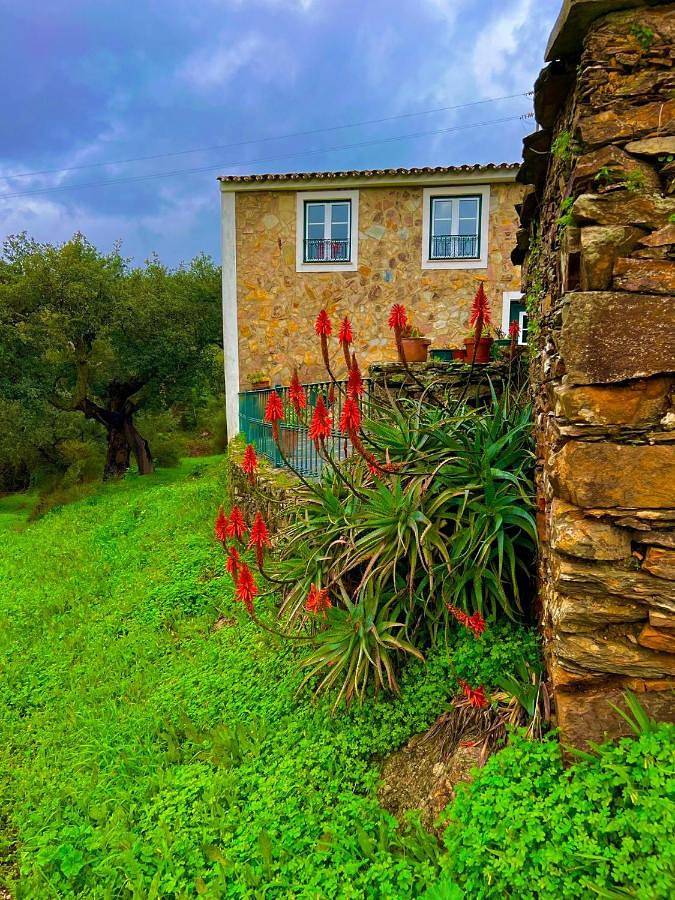 Casa rural para 13 personas, con Balcón y Terraza además de Jardín y Piscina en La Codosera - 3