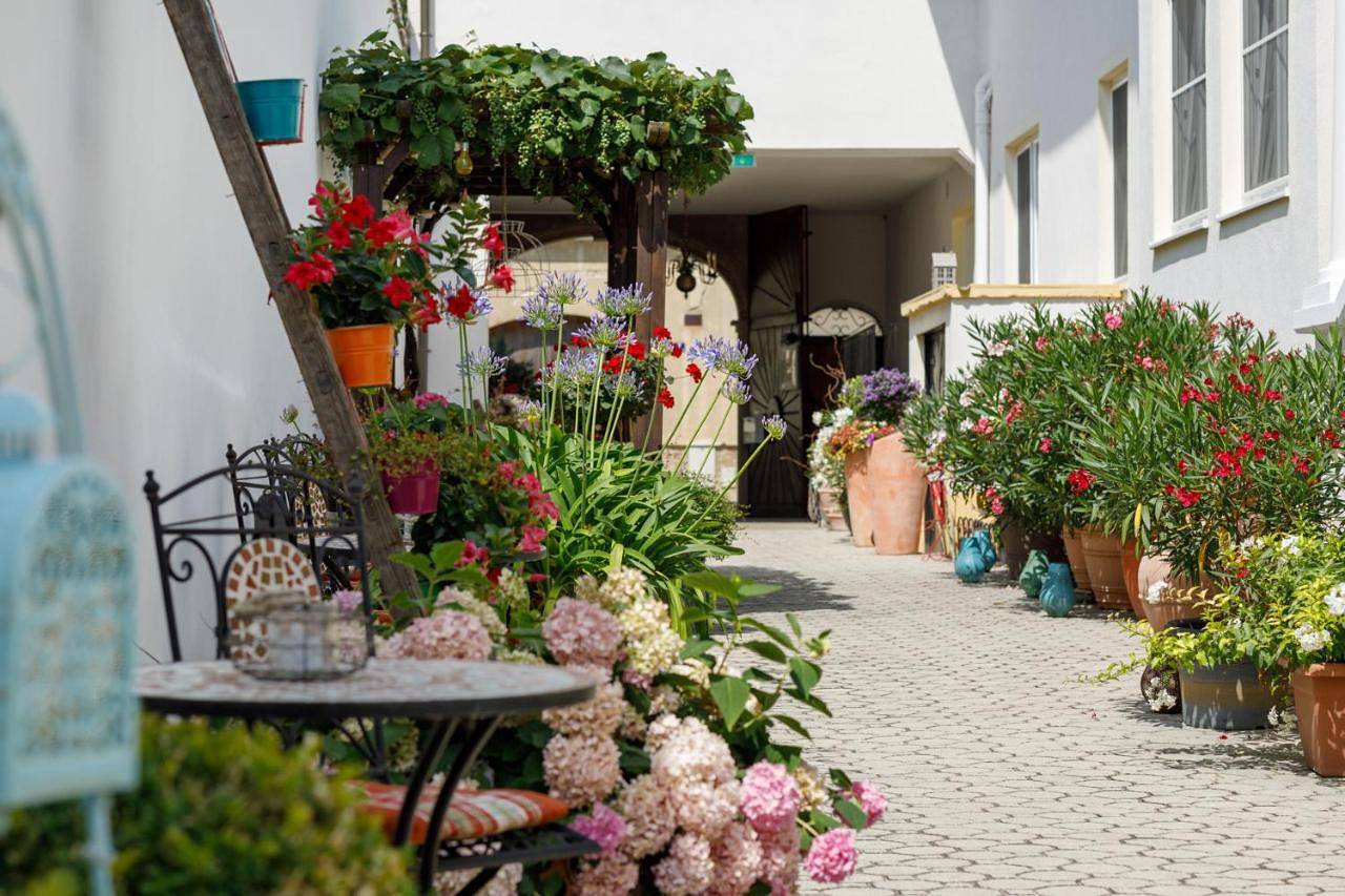 Pension Laubenhof in Mörbisch am See, Leithaberg