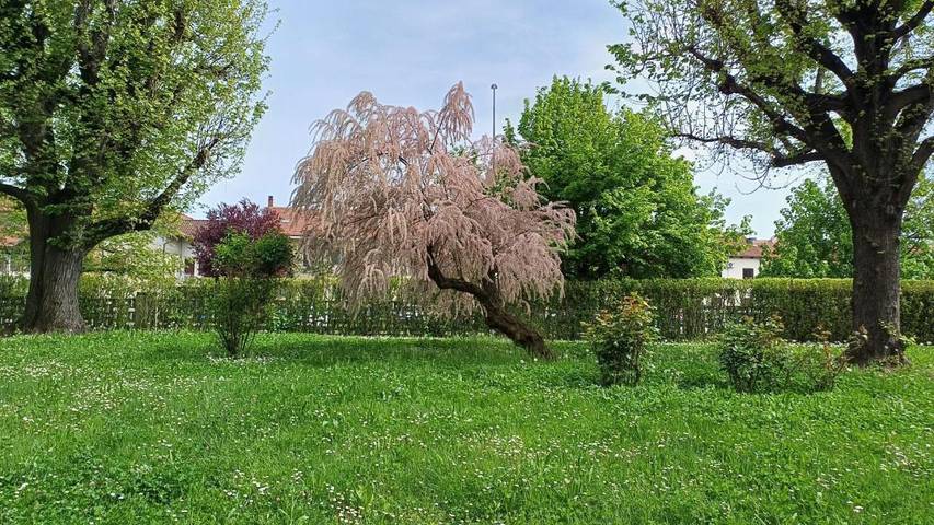 Gîte pour 2 personnes, avec jardin et vue, animaux acceptés à Moncalieri