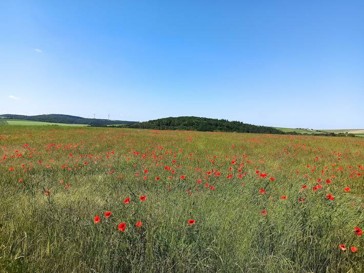 Ferienhaus für 2 Personen, mit Balkon in der Stuttgart Region - 2