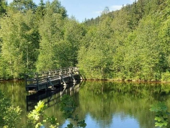 Ferienwohnung für 2 Personen, mit Balkon und Garten in Elzach - 4
