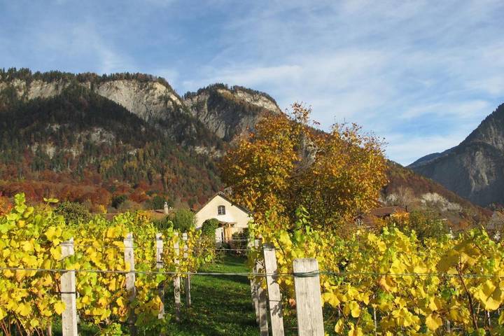 Location de vacances pour 7 personnes, avec Balcon et Terrasse ainsi que Jardin et Vue à Malans - 3
