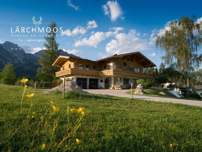 Ganze Ferienwohnung, Appartements Lärchmoos - App. C | 55m² | 2-4 Personen | 1 Schlafzimmer in Ramsau am Dachstein, Schladming-Dachstein