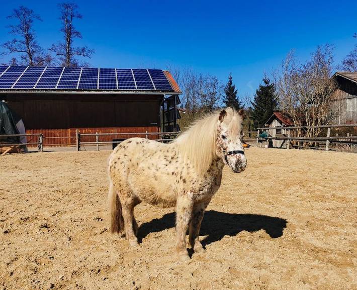 Ferienwohnung für 4 Personen, mit Garten und Ausblick sowie Sauna in Waltenhofen - 4