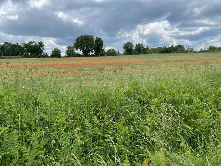 Gîte pour 4 personnes, avec vue sur le lac et vue ainsi que jardin et piscine à Durtal - 4