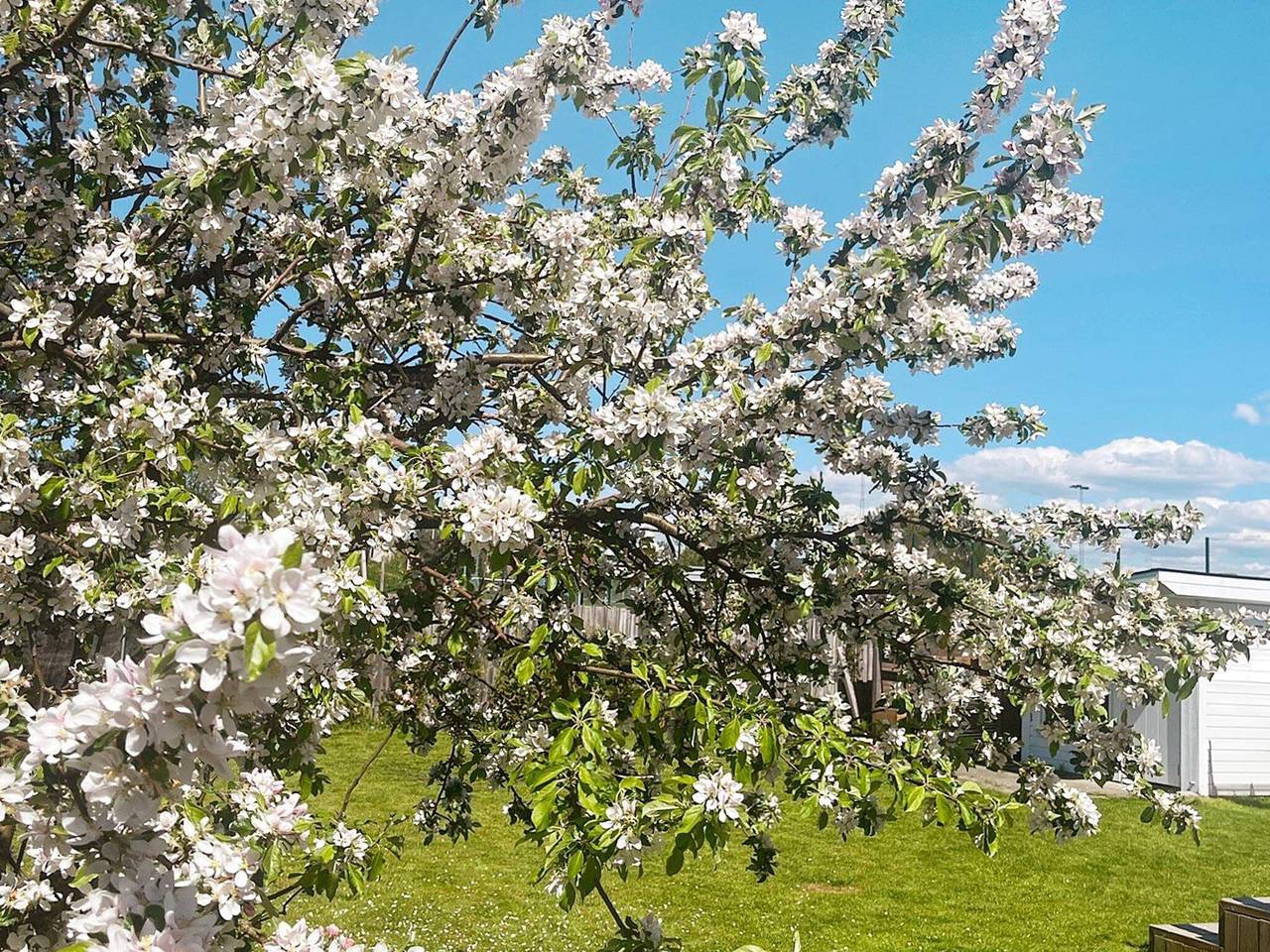 Spaziosa casa vacanze a Göteborg in Goteborg, Västergötland