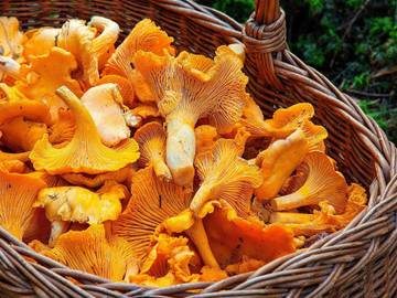 Hus för 6 Personer i Vitsand, Värmland, Bild 4