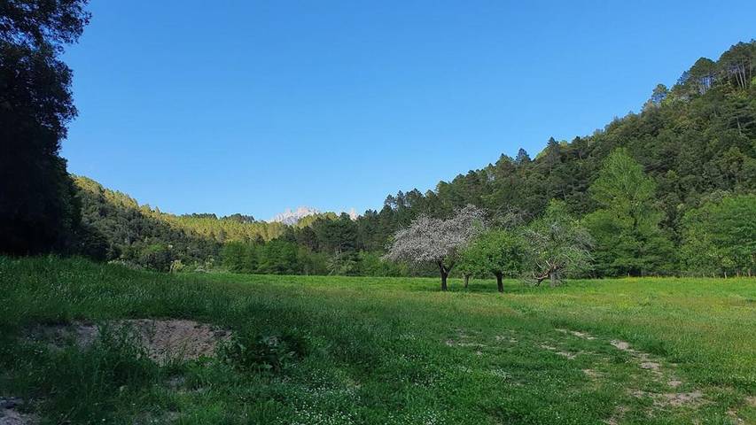 Gîte pour 2 personnes à Levie - 2