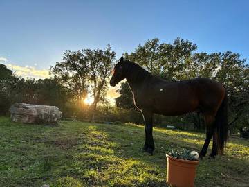 Location de vacances pour 2 personnes, avec jardin ainsi que vue et terrasse à Logrian-Florian