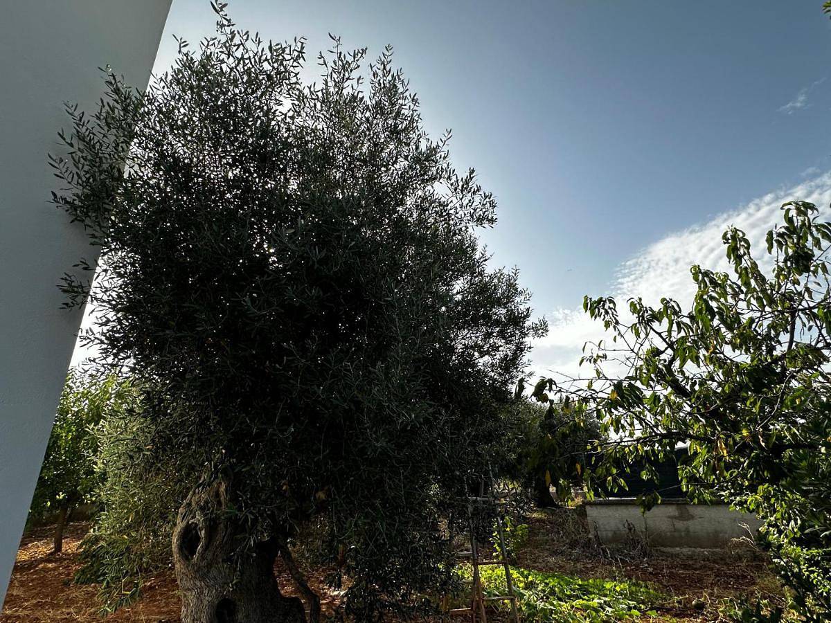 Appartamento intero, Casa Bianca Relax in Castellana Grotte, Provincia di Bari