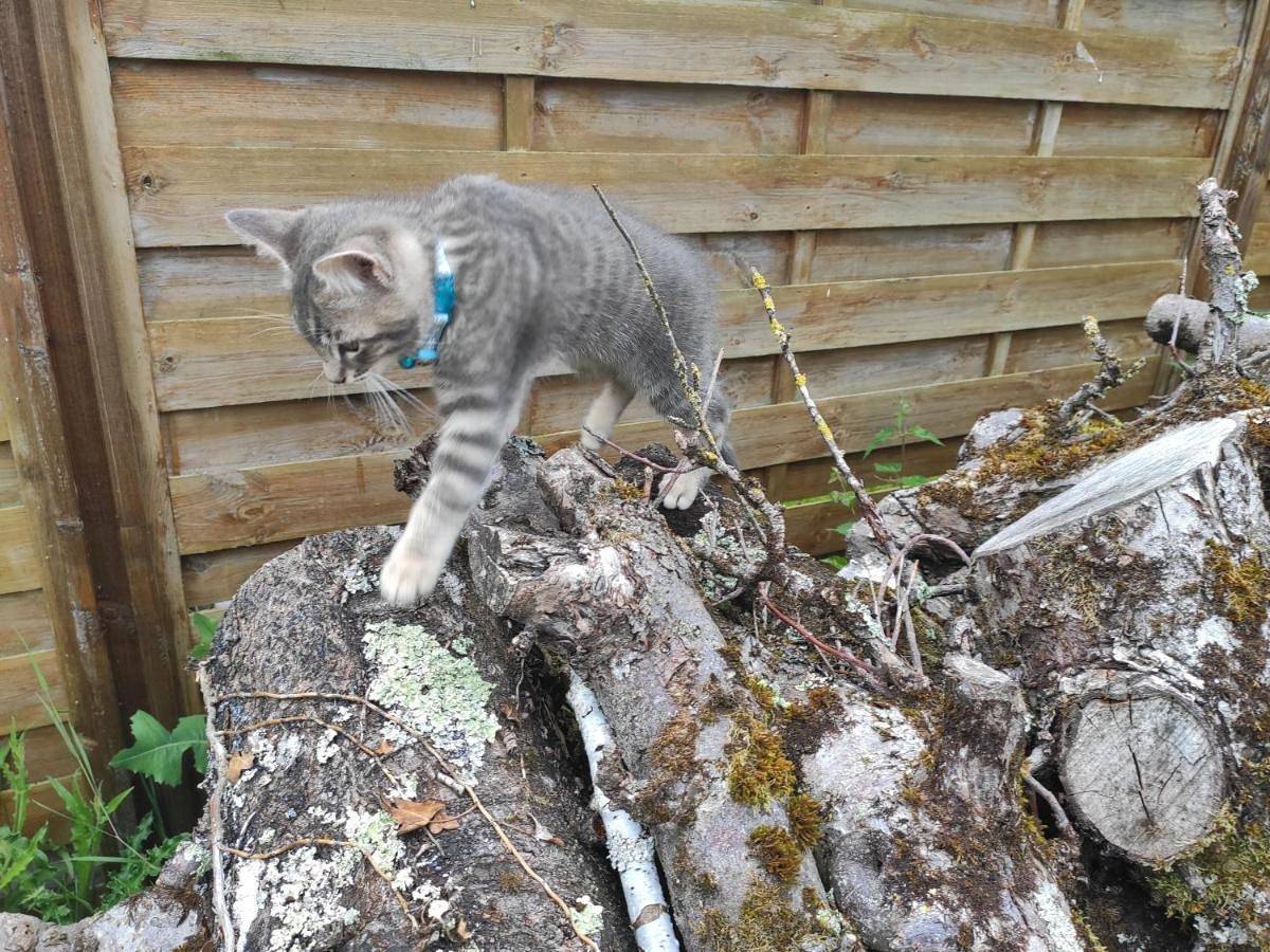 Chambres d'hôtes La Ferme du Grand Launay in Semblançay, Région de Tours