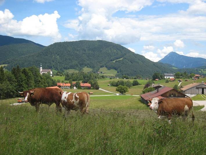 Bauernhaus für 4 Personen, mit Balkon, kinderfreundlich in Ruhpolding - 3