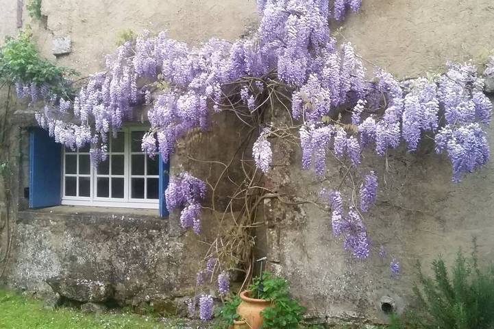 Location de vacances pour 7 personnes, avec jardin à Grézac