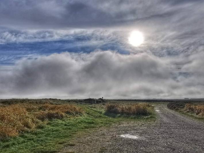 Ferienhaus für 6 Personen, mit Terrasse, kinderfreundlich in Aalbæk
