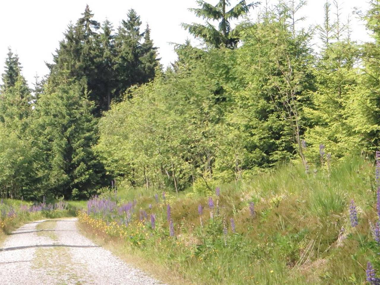 Talblick - Pension & Fewo´s - Doppelzimmer in Eibenstock, Erzgebirge