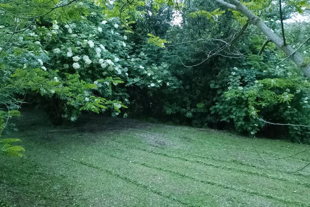 Agriturismo per 4 Persone in Crespina Lorenzana, Colline Pisane