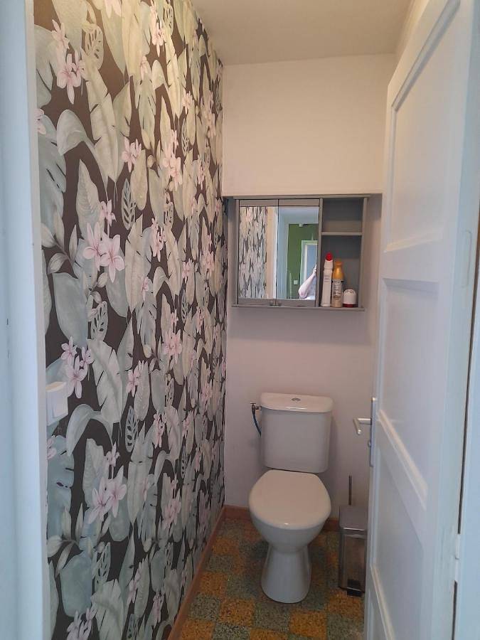 Four-Bedroom House in Saint-Clair, Vienne (France)
