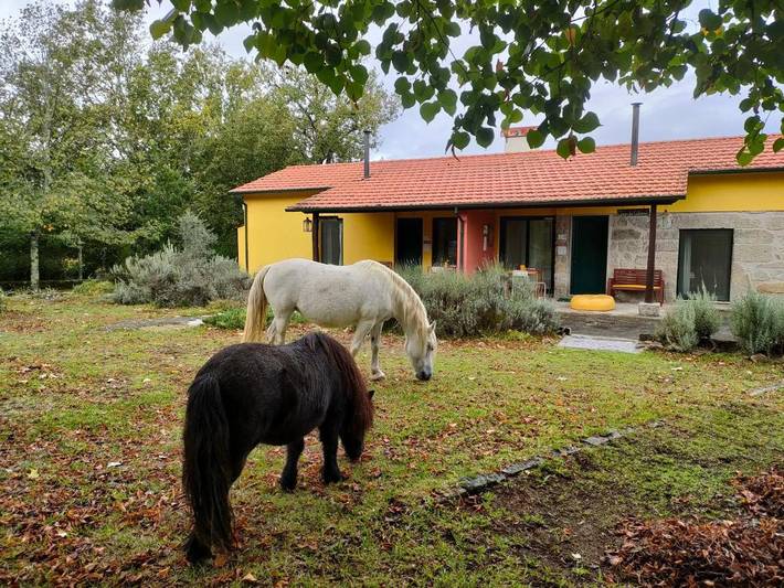 Location de vacances pour 4 personnes, avec jardin ainsi que vue et piscine, adapté aux familles à Mangualde - 2